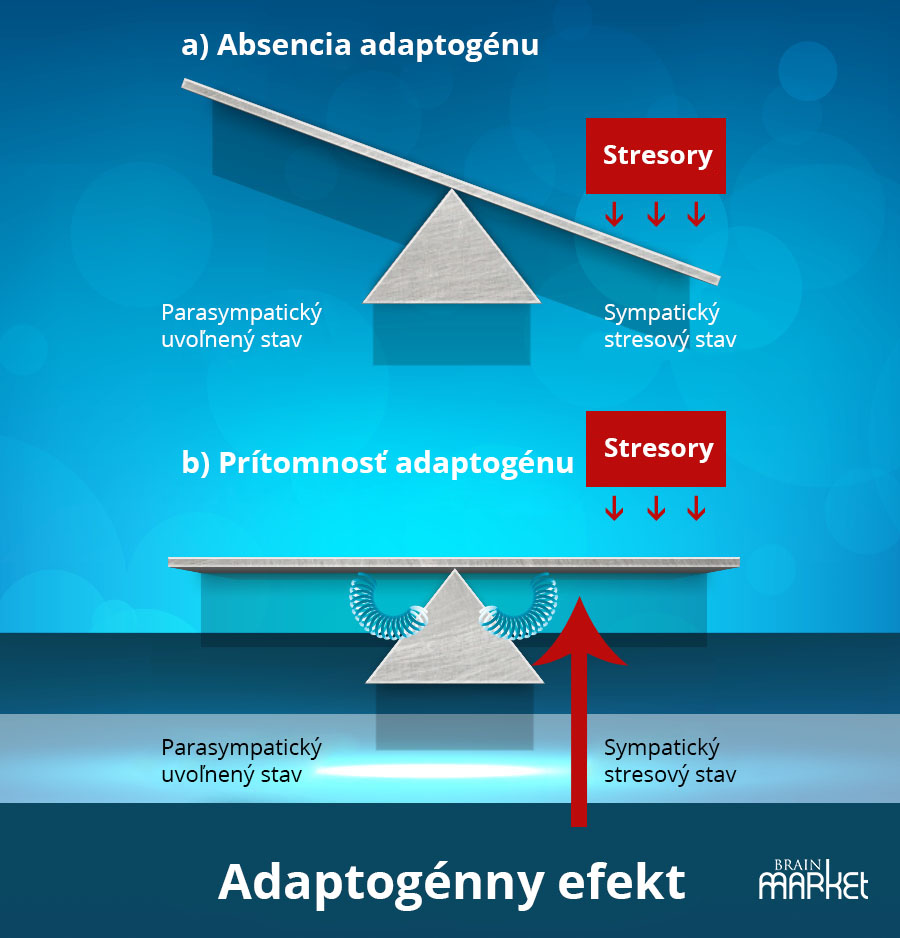 adaptogenny-efekt_brainmarket_sk